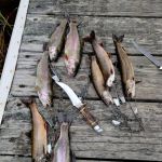 Esther Lake Campground