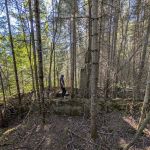 Superior National Forest Campsite #597