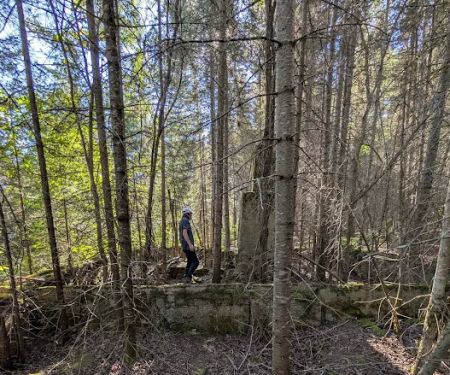 Superior National Forest Campsite #597