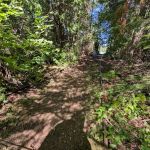 Superior National Forest Campsite #596