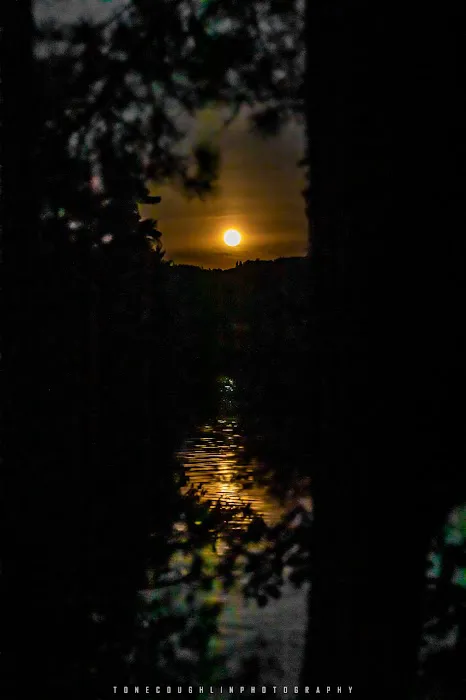 BWCA campsite 754 Picture 1