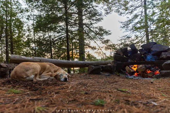 BWCA Campsite #752 Picture 2