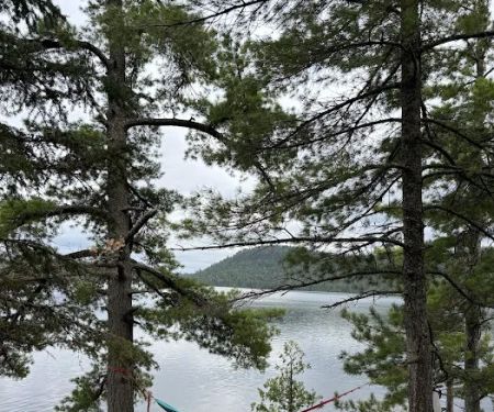 BWCA Campsite 731