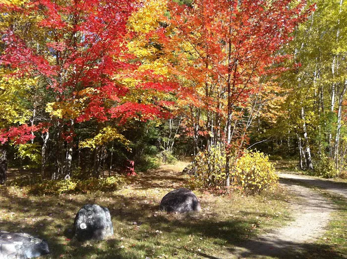 Cliff Wold's Campground Picture 5