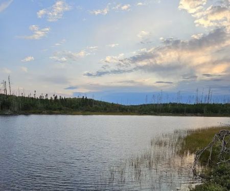 BWCA Campsite #1930