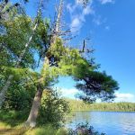 Hogback Lake Rustic Campground & Backcountry Sites