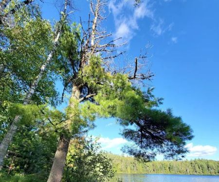 Hogback Lake Rustic Campground & Backcountry Sites