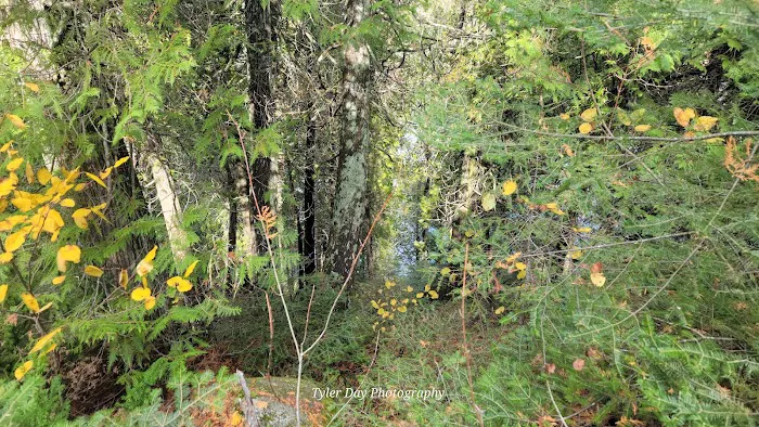 Hogback Lake Rustic Campground & Backcountry Sites Picture 3
