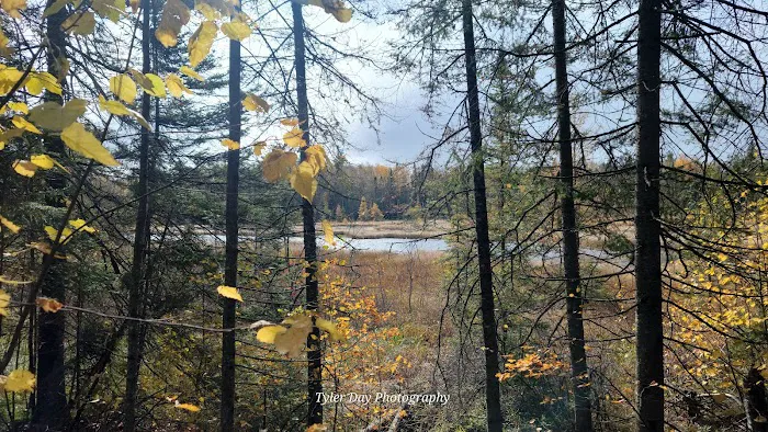 Hogback Lake Rustic Campground & Backcountry Sites Picture 10