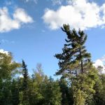 Ojibway and Triangle Lakes (recgovnpsdata)
