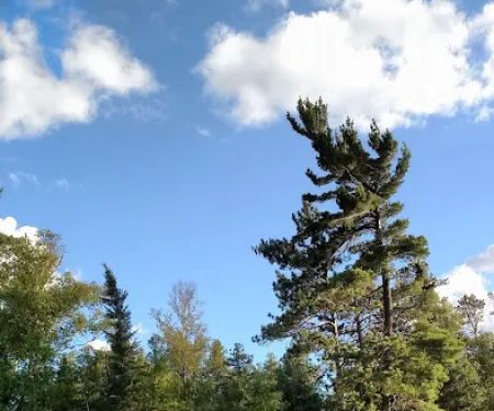 Ojibway and Triangle Lakes (recgovnpsdata)