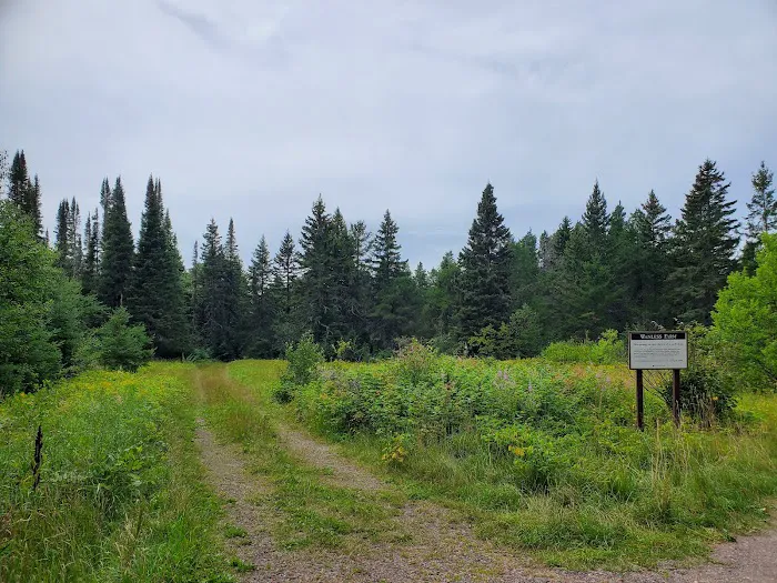 Harriet Lake Rustic Campground Picture 1