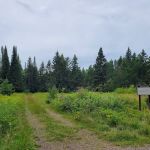 Harriet Lake Rustic Campground