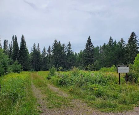 Harriet Lake Rustic Campground