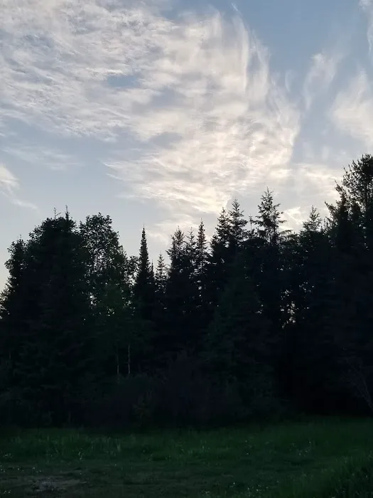 Harriet Lake Rustic Campground Picture 2