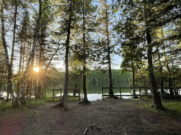 Ninemile Lake Campground Picture 9