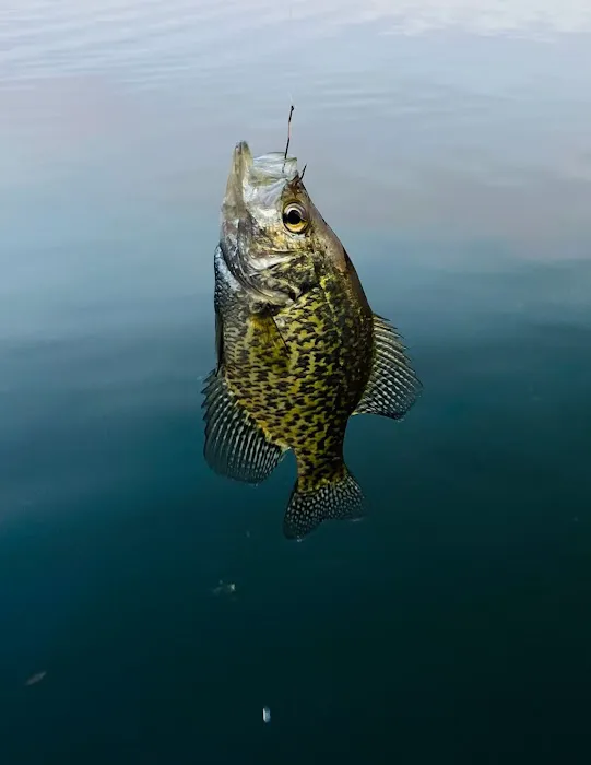 Hinsdale Island Campground Picture 2