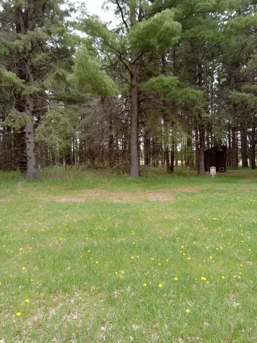 Schoolcraft Campground Picture 6