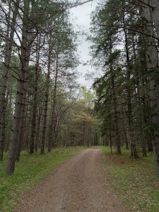 Schoolcraft Campground Picture 4