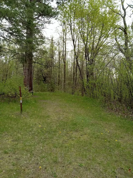 Schoolcraft Campground Picture 1