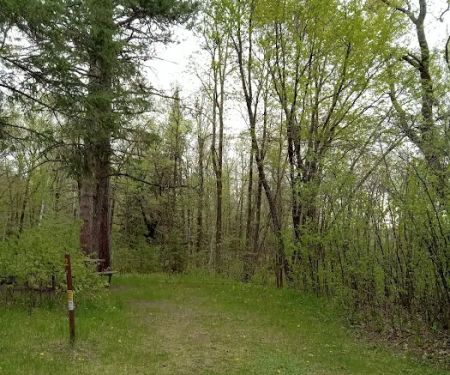 Schoolcraft Campground