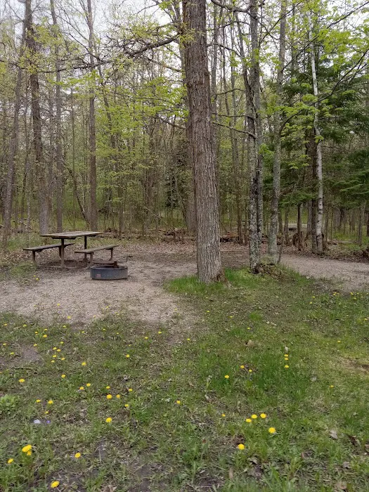 Schoolcraft Campground Picture 2
