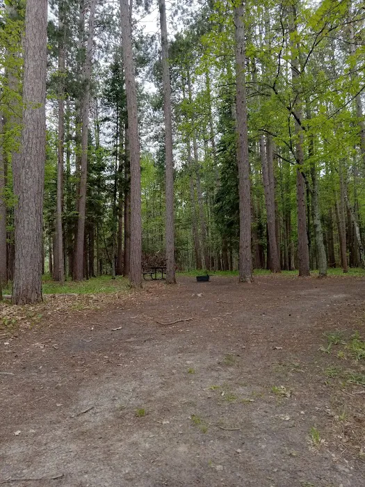 Schoolcraft Campground Picture 3