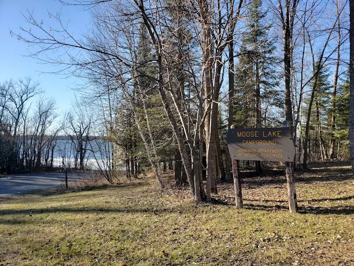 Moose Lake Campground Picture 4