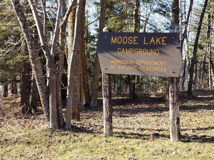 Moose Lake Campground Picture 7