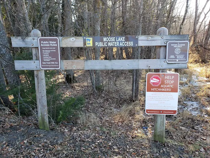 Moose Lake Campground Picture 8