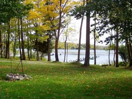 Backwoods RV Park Picture 2