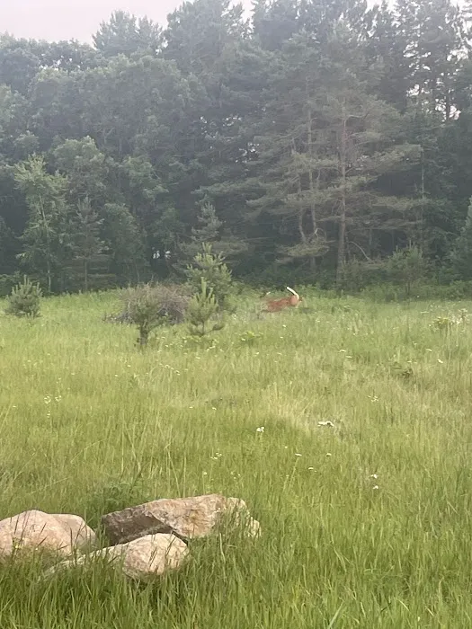 Old Iron Campground Picture 7