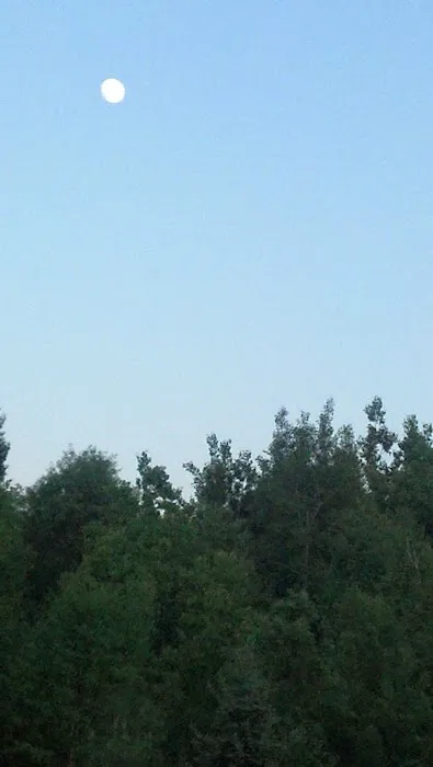 Akeley City Park & Campground Picture 2