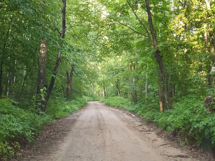 Gulch Lake Campground Picture 8