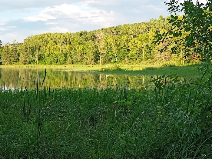 Gulch Lake Campground Picture 7