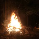 Starlight Bay Resort, LLC