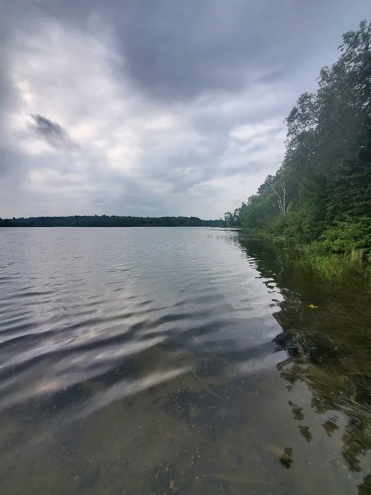 Mantrap Lake Campground Picture 3