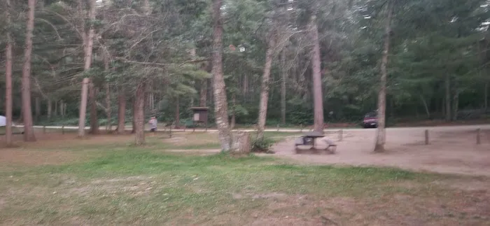 Shell city campground Picture 5