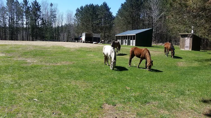 Shell City Horse Camp Picture 1