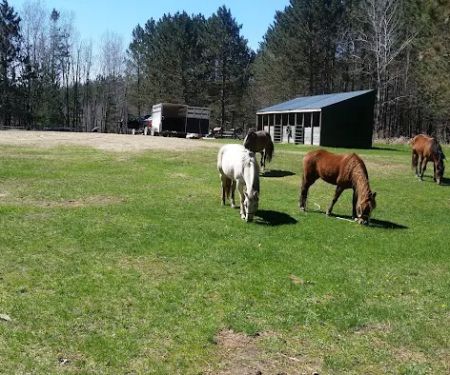 Shell City Horse Camp