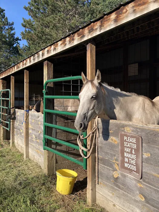 Shell City Horse Camp Picture 3