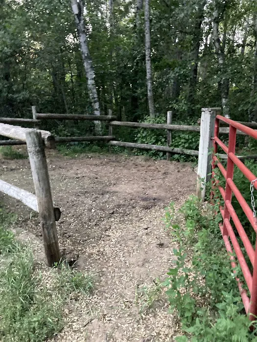 Shell City Horse Camp Picture 7