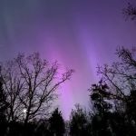 Tree Farm Campground