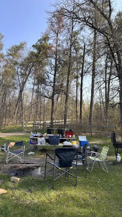 Tree Farm Campground Picture 2