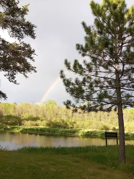 Huntersville Forest Campground Picture 2