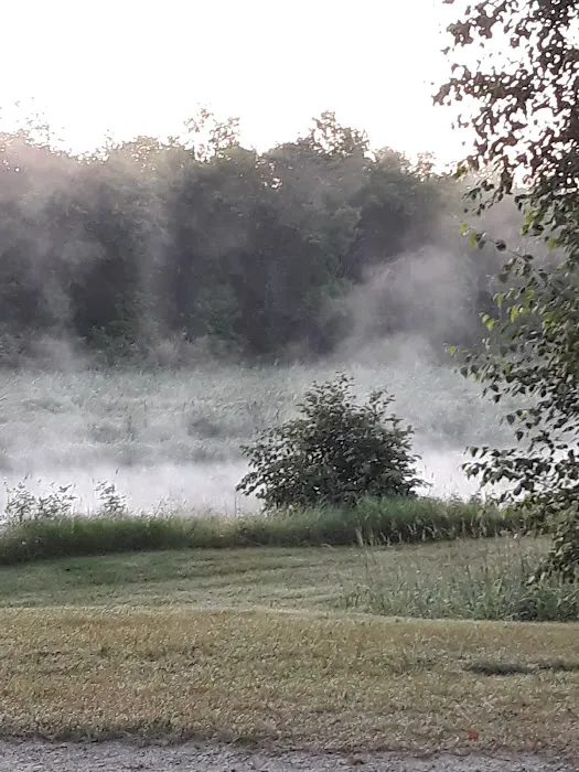 Huntersville Forest Campground Picture 8