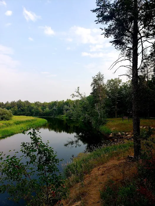 Huntersville Forest Campground Picture 9