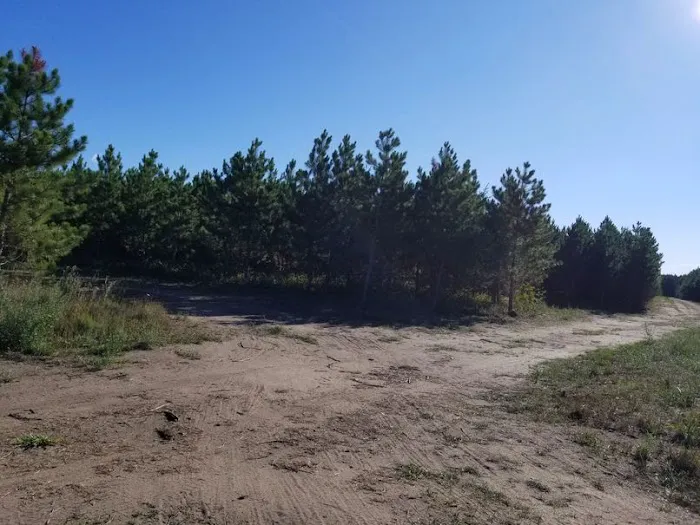 RV There Yet Campground Picture 5