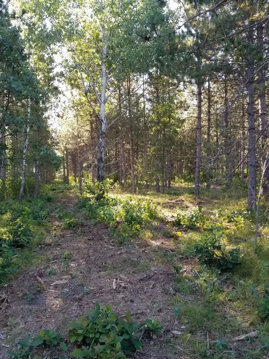RV There Yet Campground Picture 2