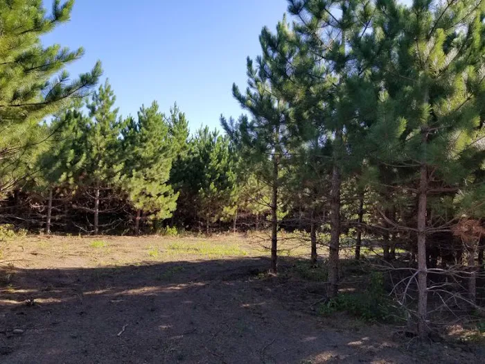 RV There Yet Campground Picture 1